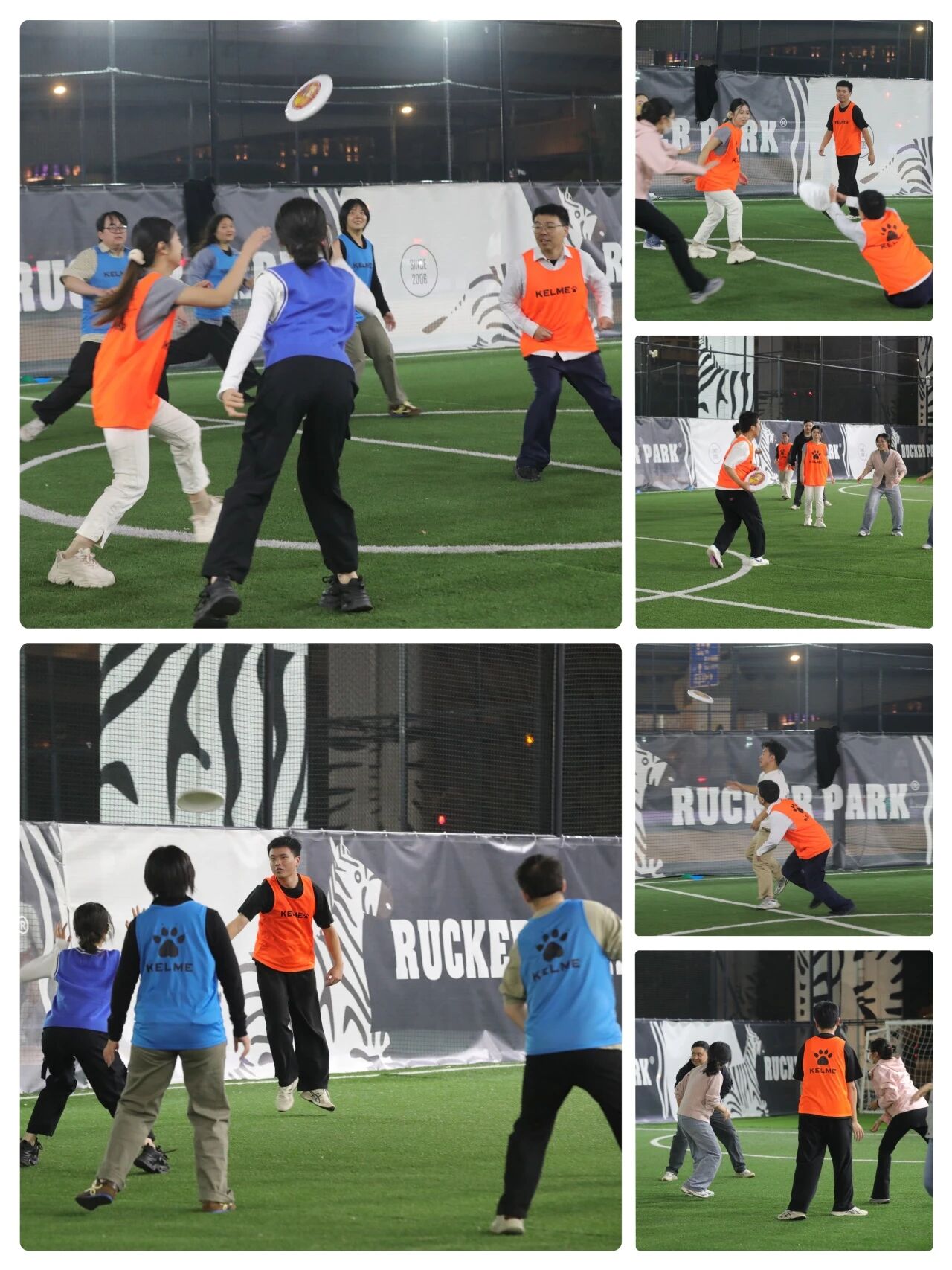 动态 | 东洲评估顺利开展2025年度新员工第二期专题培训暨户外拓展活动